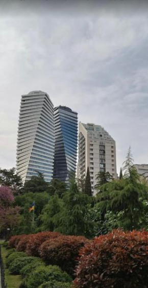 Archi tower - Luxury apartment in Vake